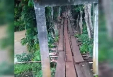  Jembatan Gantung di Muara Beliti Terbengkalai, Warga Bertaruh Nyawa Demi ke Kebun  