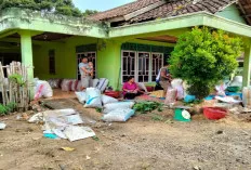 Buah Melimpah, Harga Duku Masih Bertahan Rp 5.000