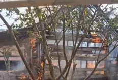 Ditinggal ke Kebun, Rumah Warga Bukit Indah Plakat Tinggi Ludes Terbakar