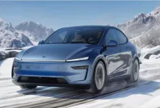 Tesla Model Y, SUV Listrik Futuristik dengan Akselerasi Sport Car dan Kabin Super Modern