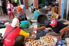 Peluang Bisnis Sawo Ternyata Sangat Menjanjikan, Ini Besar Keuntungan Didapat Penjual 