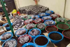 Kebanjiran Orderan Jelang Lebaran Idul Fitri 1445 H, Sehari Bisa Hasilkan 400 Kg Dodol 