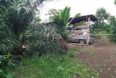 Kematian Sekeluarga Ditemukan Mengenaskan Masih Misteri, Dikabarkan Baru Jual Tanah
