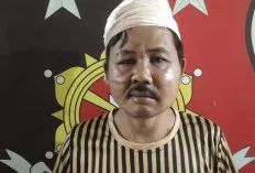 Buah Kelapa Sawit Ditumpuk di Bawah Pohon dan Ditutupi Pelepah Sawit, Lalu Diangkut ke Mobil 