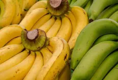 Berikut 8 Manfaat Pisang Ambon untuk Kesehatan!
