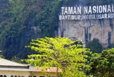 Taman Nasional Bantimurung, Keajaiban Alam Sulawesi Selatan yang Mendunia