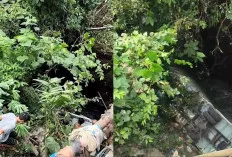 Diduga Rem Blong, Truk Bermuatan 21 Ton Kopi Terjun ke Jurang di Rejang Lebong