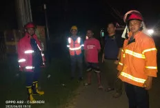 Tim Damkar dan PLN Muba Padamkan Kebakaran Gardu Listrik di Sekayu