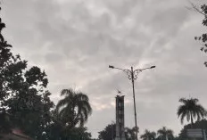 Kondisi Kecepatan Angin di Sekayu Usai Diguyur Hujan Angin dan Petir Malam Tadi