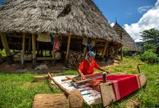  Menjelajahi Keindahan dan Keunikan Desa Wae Rebo, Surga Tersembunyi di Atas Gunung