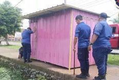 Damkar Muba Berhasil Evakuasi Kucing Terjepit di Bawah Container UMKM