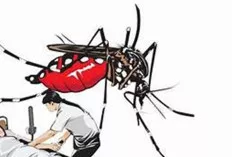 Musim Hujan, Rawan Penyakit DBD