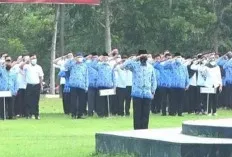 Asyik! 8 Ribu ASN dan PPPK Banyuasin Dapat THR 