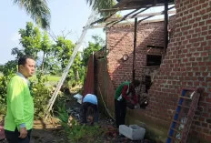  Puting Beliung Terjang Tugumulyo, 7 Rumah Rusak dan Pohon Tumbang Tutup Jalan Raya