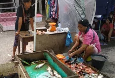Ikan Nila Masih Menjadi Konsumsi Favorit Warga, Ini Manfaatnya? 