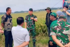 Panen Raya Mikroba PA63 di Bukit Sari OKU Timur 