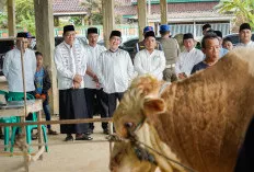 Momen Berkah Idul Adha di Muba, Warga Sembelih Sapi Kurban dari Presiden Prabowo