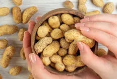 Mitos atau Fakta? Benarkah Terlalu Banyak Makan Kacang Bisa Menyebabkan Jerawat?