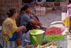 Jelang Lebaran Idul Fitri 1445 H, Harga Bumbu Dapur Masih Stabil 