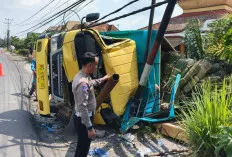Hindari Kucing, Truk Pengangkut Daun Nipah Kecelakaan di Ogan Ilir