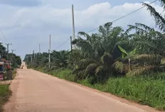 Listrik di Desa Nusa Serasan Segera Dialihkan dari MEP ke PLN