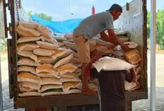 Awal Desember 2023, CPP Mulai Disalurkan