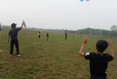 Lomba Layang-Layang Aduan