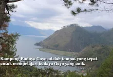 5 Tempat Wisata Terbaik di Takengon yang Wajib Dikunjungi