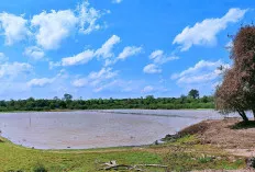 Ayo Habiskan Waktu Akhir Pekan di Danau Ulak Libok, Wisata Murah Meriah untuk Keluarga 