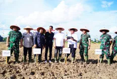 Gubernur Sumsel dan Bupati Muba Resmikan Tanam Perdana Cetak Sawah Rakyat di Desa Lumpatan II