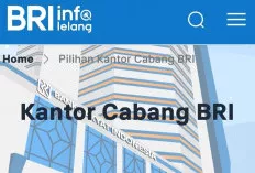 Prosedur Serta Info Lelang di BRI