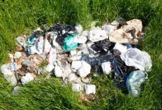 Bye Kantong Plastik! Ini 5 Alternatif Ramah Lingkungan yang Patut Dicoba