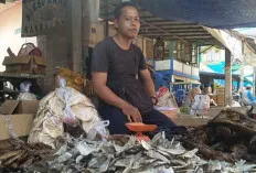 Harga Ikan Salai Jenis Lais Lebih Mahal dari Harga Daging Sapi, Segini Harganya 
