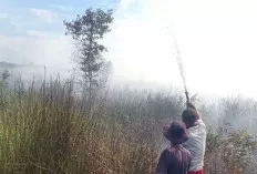 3 Titik Karhutla Muncul di Kabupaten OKI 