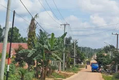 Listrik di Desa Nusa Serasan  Segera Beralih dari MEP ke PLN