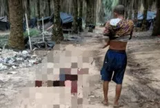 Pemuda Sekayu Ditemukan Tewas Akibat Luka Tusuk di Lokasi Pengeboran Minyak Ilegal PT Hindoli
