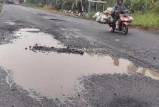 Waspada, Akses Jalan Lintas Tengah Babat Toman Muba Banyak Jebakan Tergenang Air