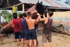 Klaim 19 Penyulingan Minyak Illegal Dibongkar Secara Mandiri 