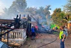 Rumah Panggung Dua Lantai di Ogan Ilir Ludes Terbakar, Kerugian Capai Rp250 Juta