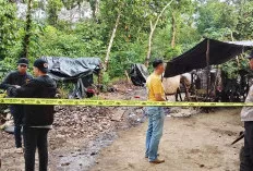 Polisi Selidiki Kematian Pria dengan Luka Bacok di Kebun Karet Tanjung Dalam Kecamatan Keluang