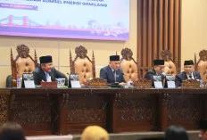 Perkuat Peran BUMD dalam Proyek Strategis Nasional, Pemprov Sumsel Ajukan Raperda PT Sumsel Energi Gemilang