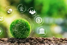 Yuk, Lebih Peduli Bumi! Tips Hidup Ramah Lingkungan untuk Kehidupan Berkelanjutan