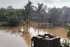 Banjir Rendam 3 Dusun di Desa Dawas, Warga Mulai Terdampak