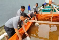 WOW!Lapas Sekayu Tebar 3000 Benih Ikan Lele, Dukung Ketahanan Pangan   