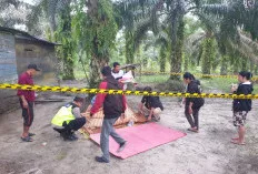 Petani di Bayung Lencir Meninggal Mengenaskan,  Ternyata Ini Pelakunya  