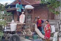 Tawarkan Jasa Penggilingan Padi yang Bisa Membuat Hemat Para Petani