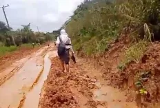 Pelajar di Muara Lakitan Terpaksa Bawa Cangkul ke Sekolah Akibat Jalan Rusak  