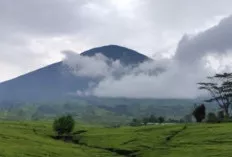 Tujuh Puncak Megah: Menjelajahi Atap Tertinggi Nusantara