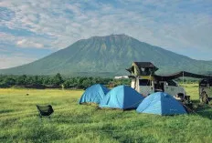 Savana Tianyar Karangasem, Wisata Ala Afrika di Bali yang Berubah Hijau Saat Musim Hujan