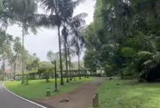 Liburan Menyegarkan di Bogor: Keindahan Alam dan Warisan Sejarah